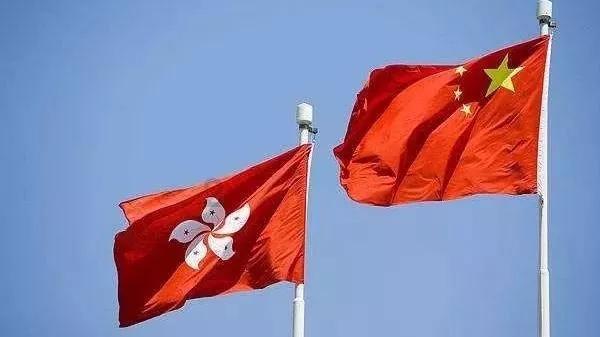 沙皮狗逃离